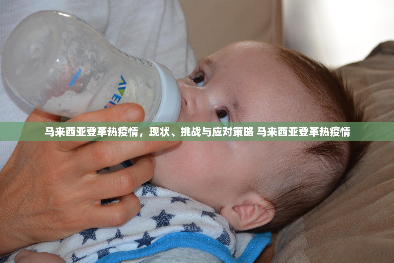 马来西亚登革热疫情，现状、挑战与应对策略 马来西亚登革热疫情