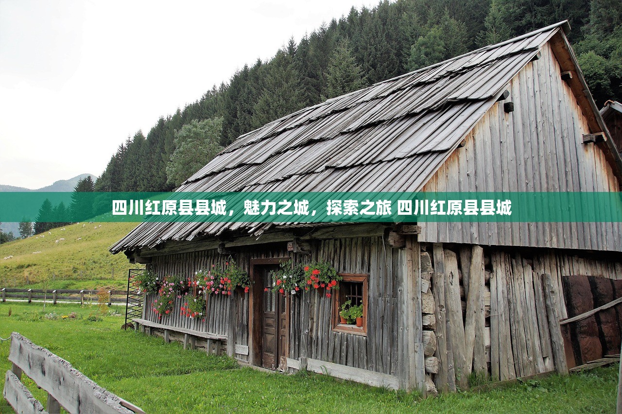 四川红原县县城，魅力之城，探索之旅 四川红原县县城