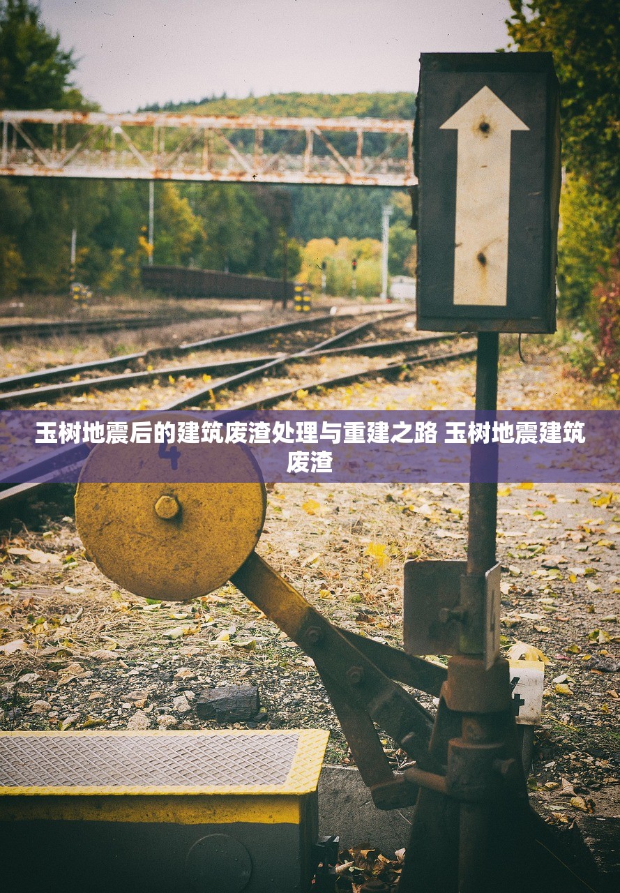 玉树地震后的建筑废渣处理与重建之路 玉树地震建筑废渣