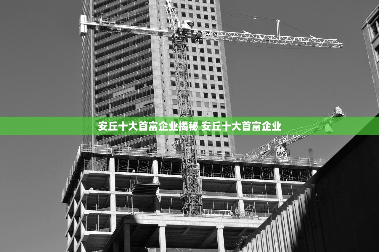 安丘十大首富企业揭秘 安丘十大首富企业 安丘十大首富企业揭秘 安丘十大首富企业