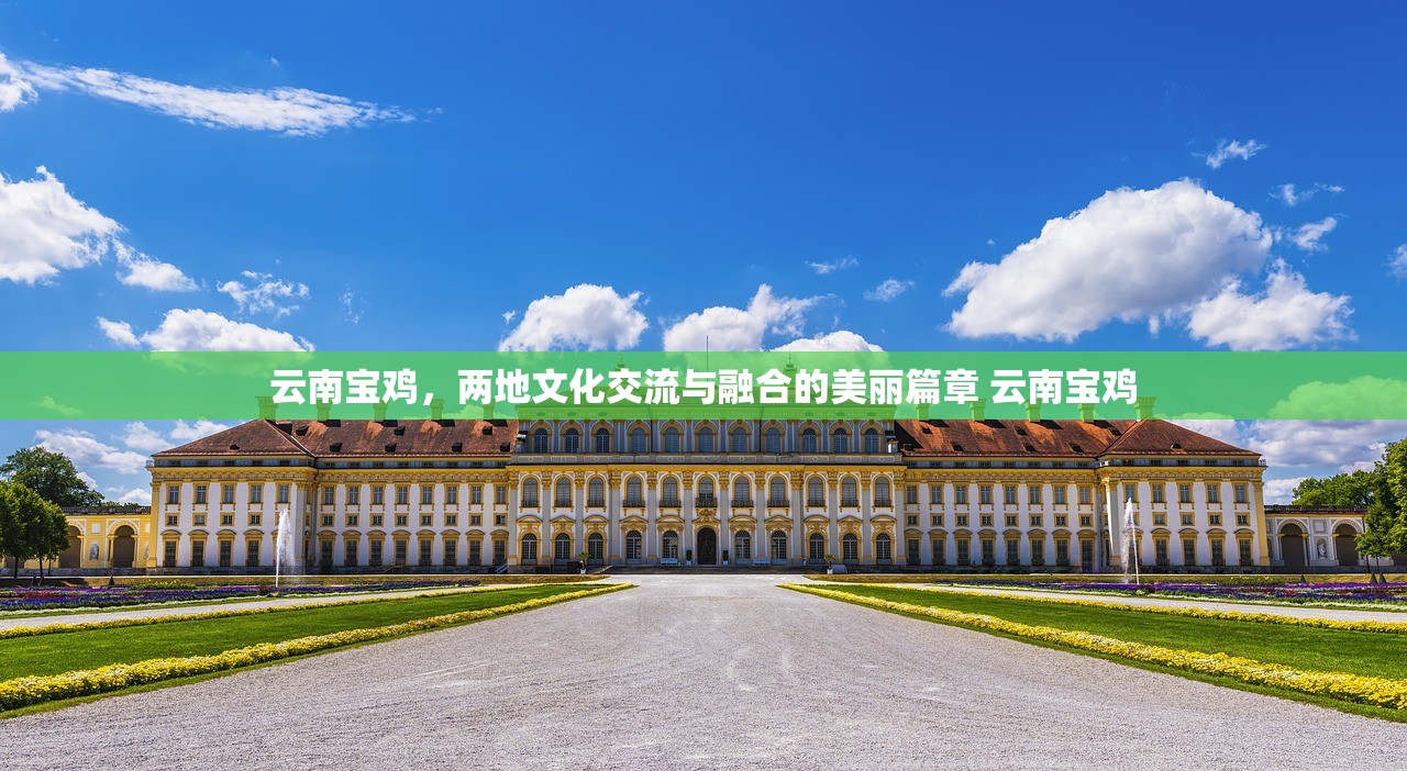 云南宝鸡，两地文化交流与融合的美丽篇章 云南宝鸡