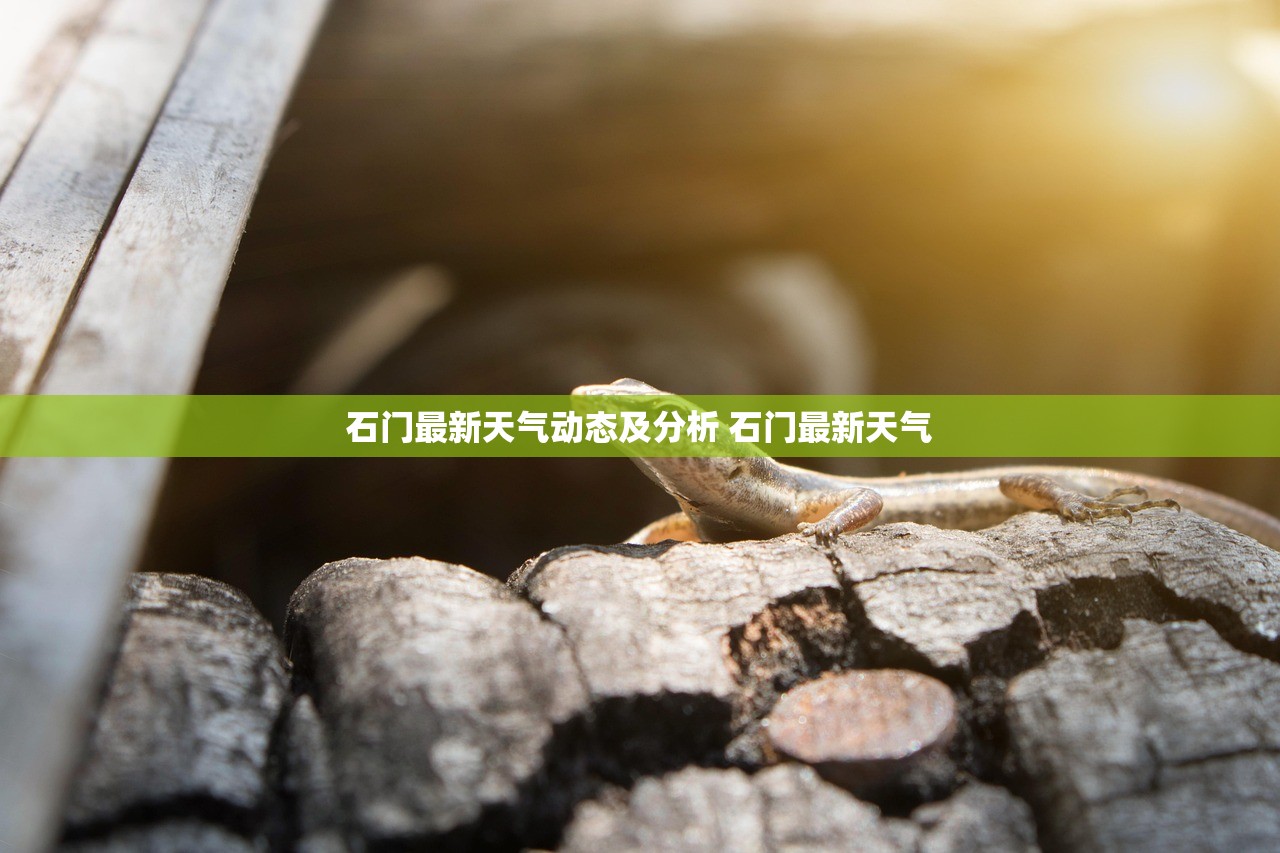石门最新天气动态及分析 石门最新天气