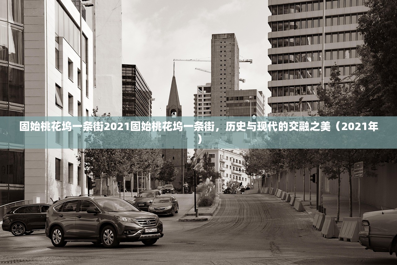 固始桃花坞一条街2021固始桃花坞一条街，历史与现代的交融之美（2021年）