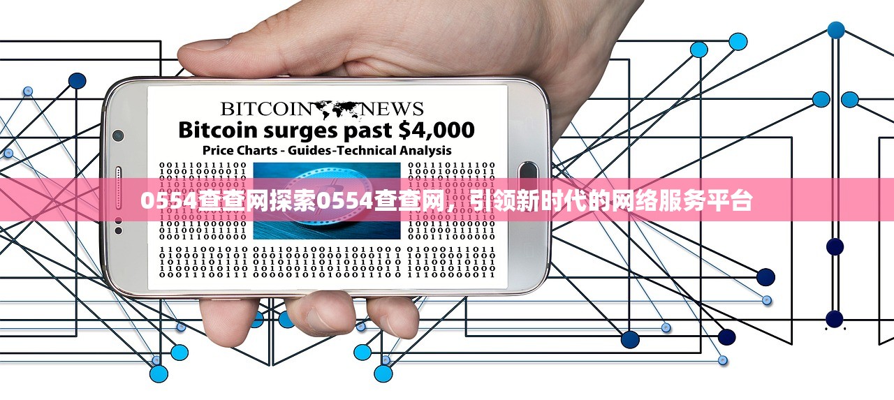 0554查查网探索0554查查网，引领新时代的网络服务平台
