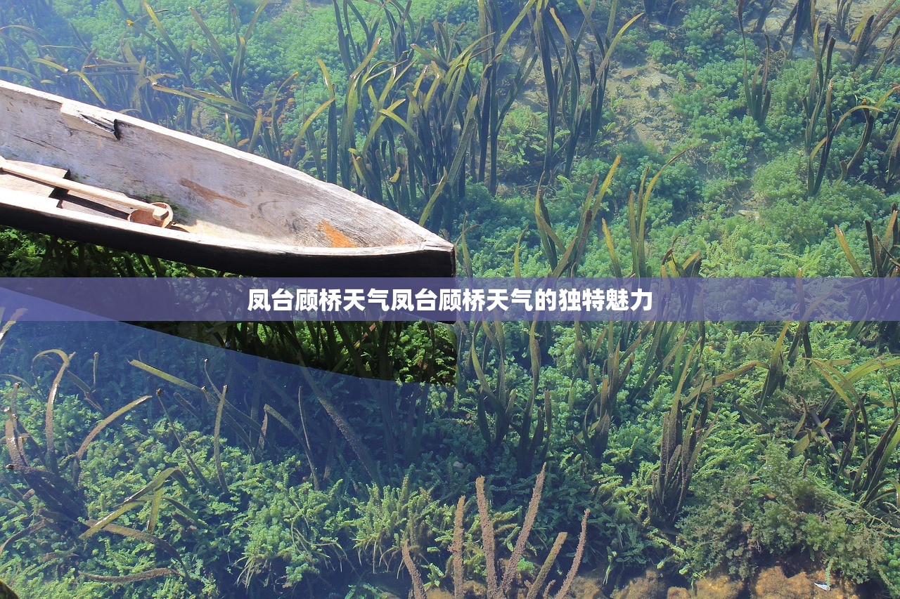 凤台顾桥天气凤台顾桥天气的独特魅力