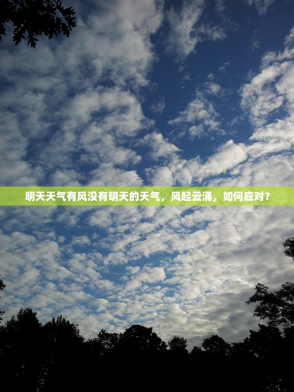 明天天气有风没有明天的天气，风起云涌，如何应对？