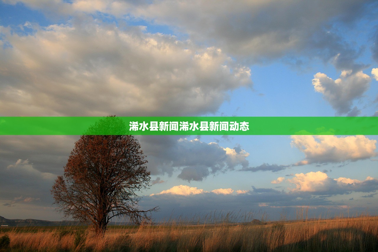 浠水县新闻浠水县新闻动态