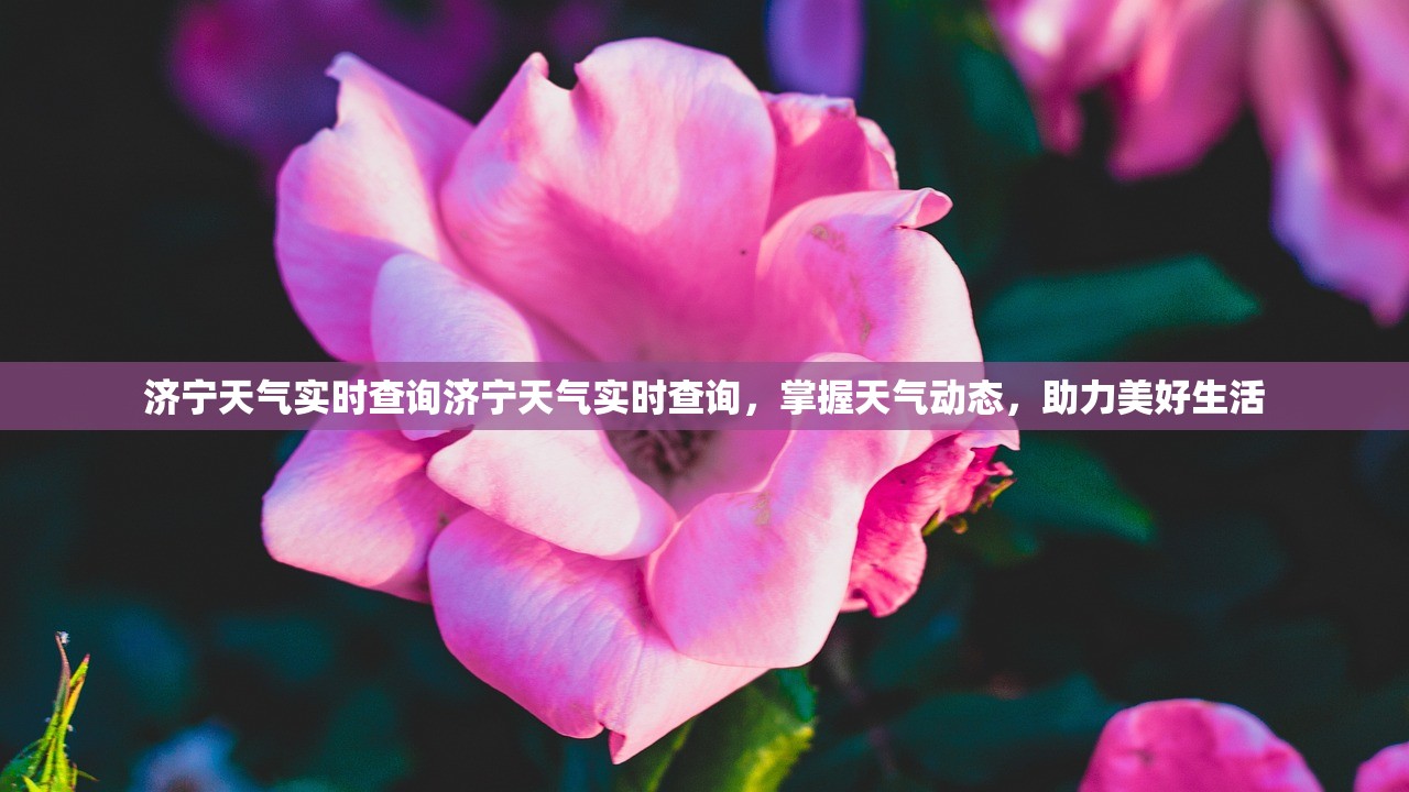 济宁天气实时查询济宁天气实时查询，掌握天气动态，助力美好生活