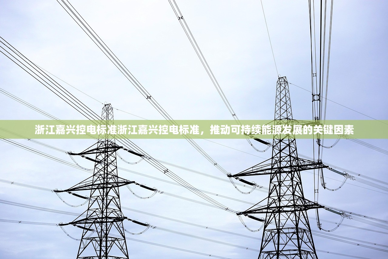 浙江嘉兴控电标准浙江嘉兴控电标准，推动可持续能源发展的关键因素