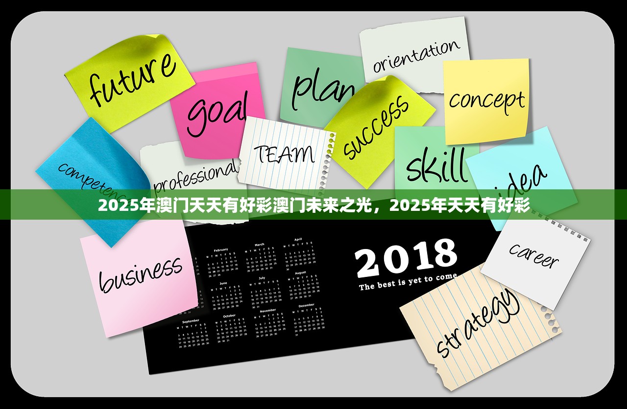 2025年澳门天天有好彩澳门未来之光，2025年天天有好彩