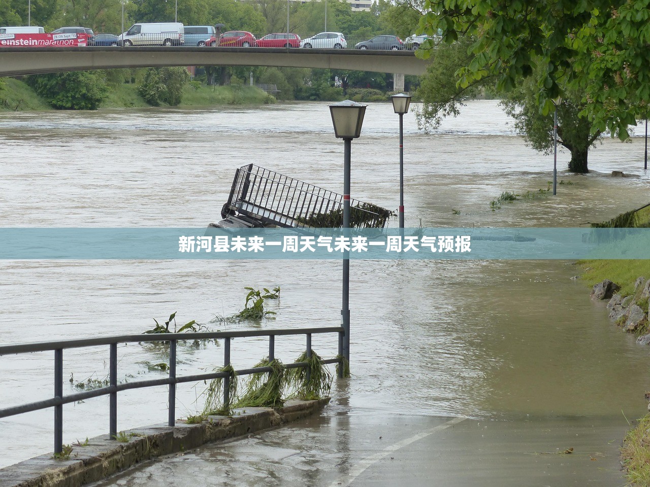新河县未来一周天气未来一周天气预报