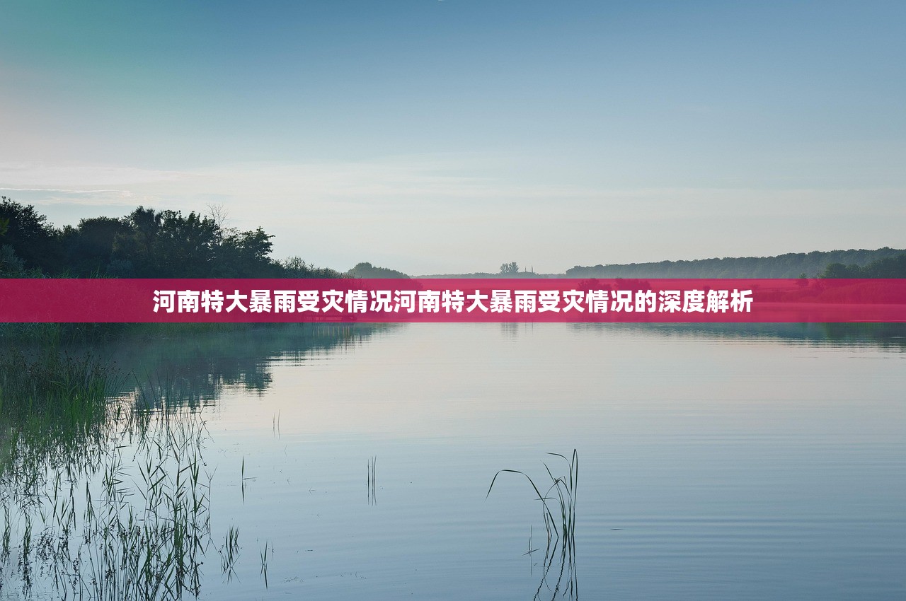 河南特大暴雨受灾情况河南特大暴雨受灾情况的深度解析 河南特大暴雨受灾情况河南特大暴雨受灾情况的深度解析