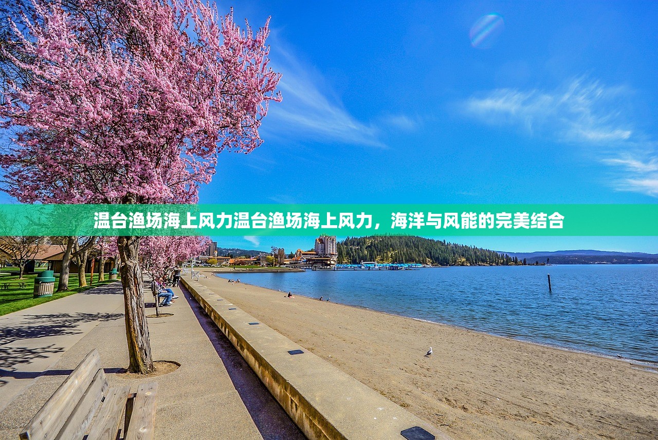 温台渔场海上风力温台渔场海上风力,海洋与风能的完美结合 温台渔场海上风力温台渔场海上风力,海洋与风能的完美结合