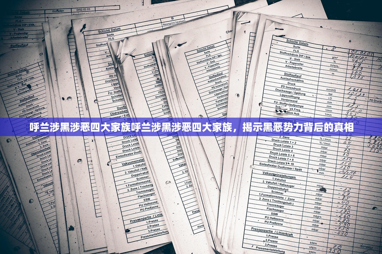 呼兰涉黑涉恶四大家族呼兰涉黑涉恶四大家族，揭示黑恶势力背后的真相