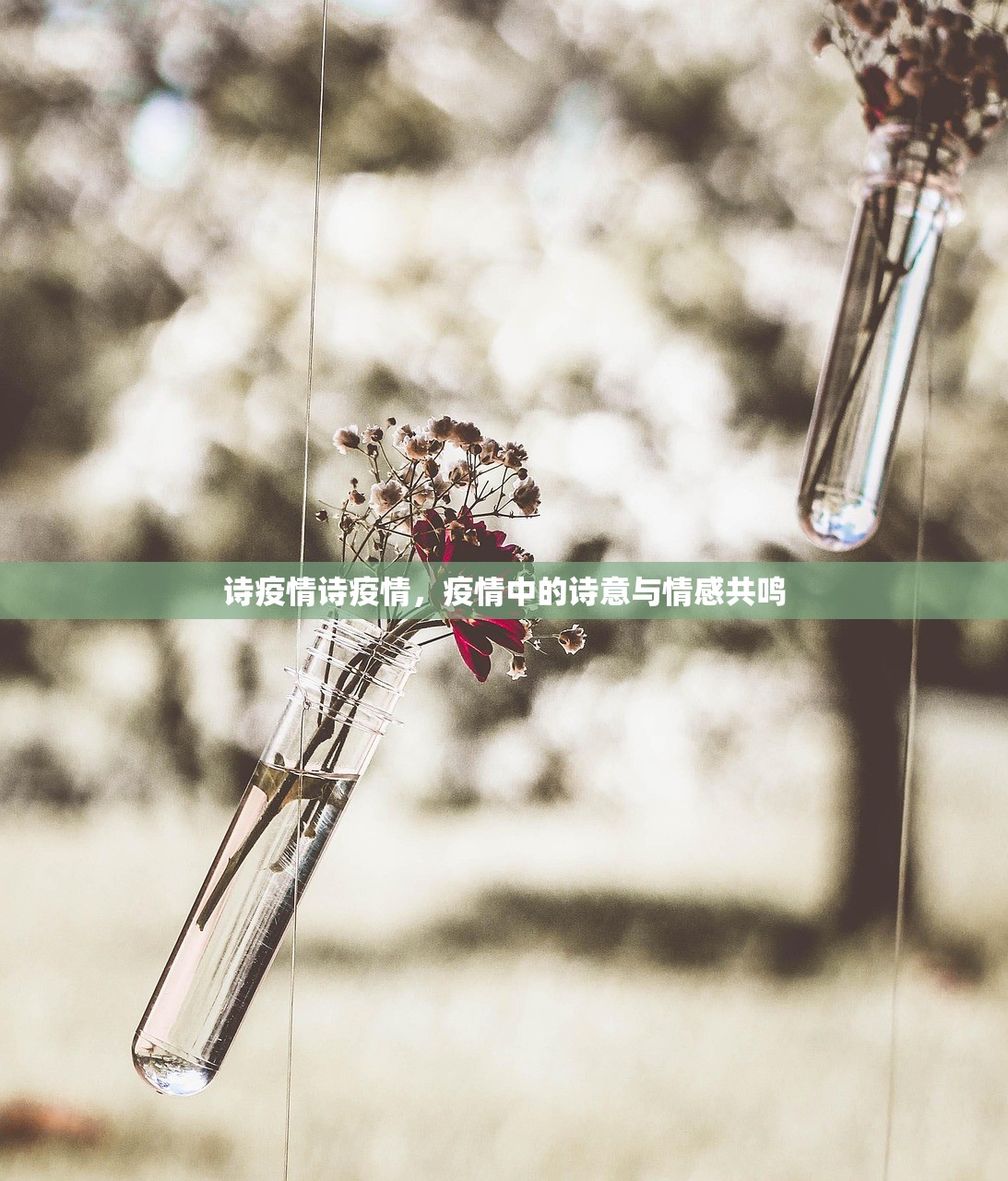 诗疫情诗疫情，疫情中的诗意与情感共鸣