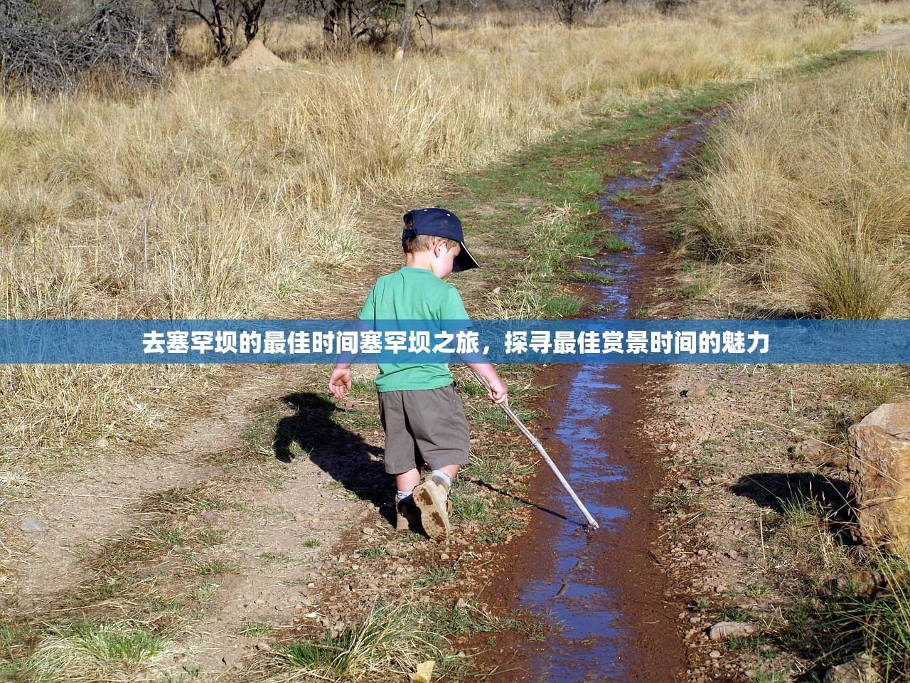 去塞罕坝的最佳时间塞罕坝之旅，探寻最佳赏景时间的魅力