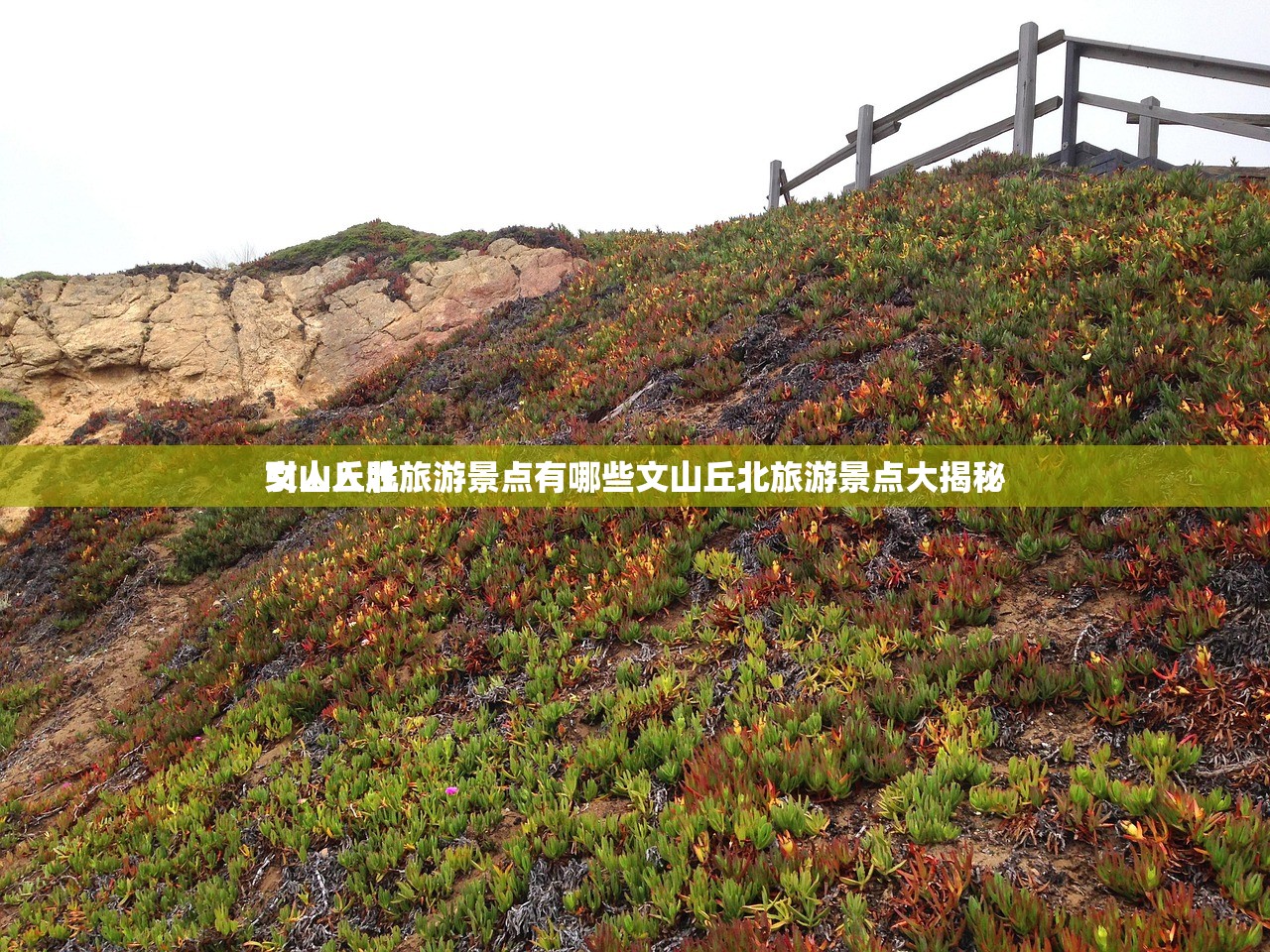 文山丘北旅游景点有哪些文山丘北旅游景点大揭秘
引人入胜