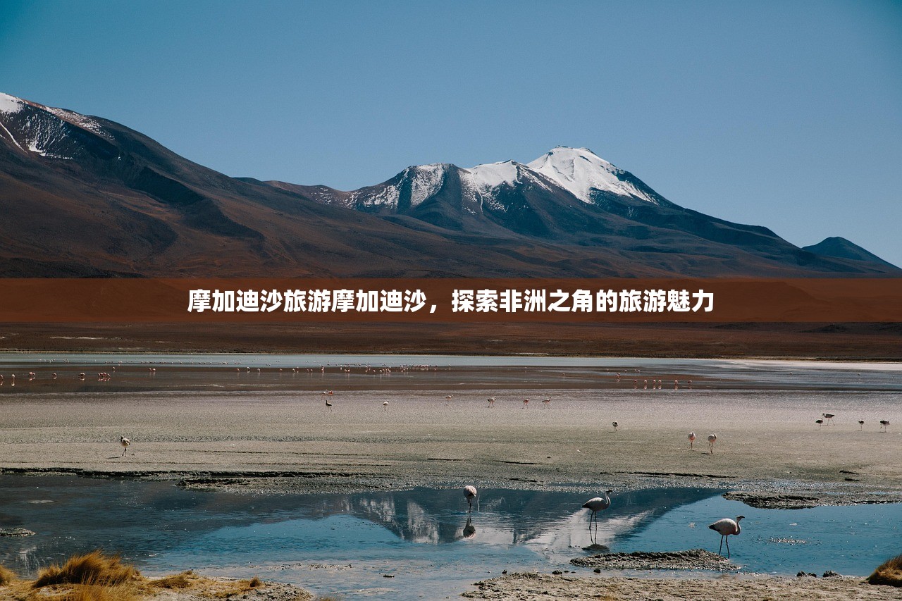摩加迪沙旅游摩加迪沙，探索非洲之角的旅游魅力
