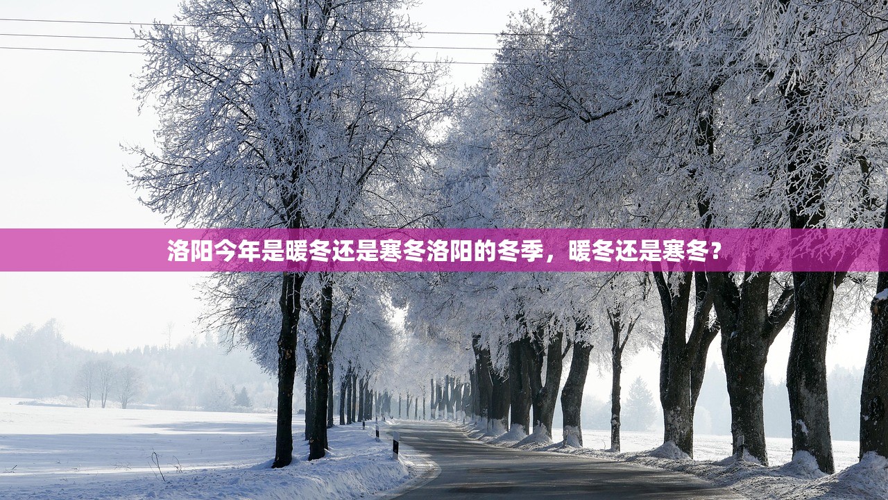 洛阳今年是暖冬还是寒冬洛阳的冬季，暖冬还是寒冬？