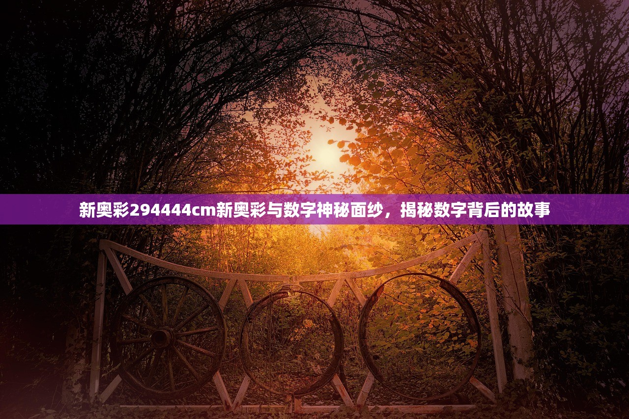 新奥彩294444cm新奥彩与数字神秘面纱，揭秘数字背后的故事