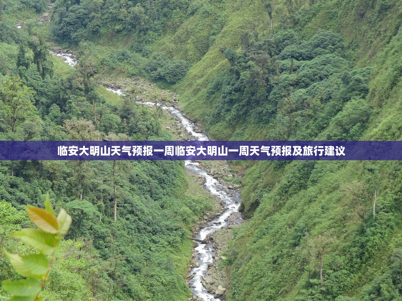临安大明山天气预报一周临安大明山一周天气预报及旅行建议 临安大明山天气预报一周临安大明山一周天气预报及旅行建议