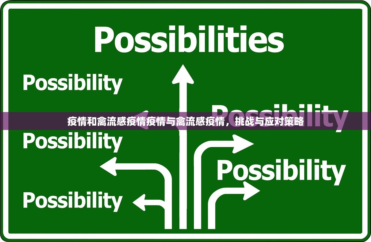 疫情和禽流感疫情疫情与禽流感疫情，挑战与应对策略