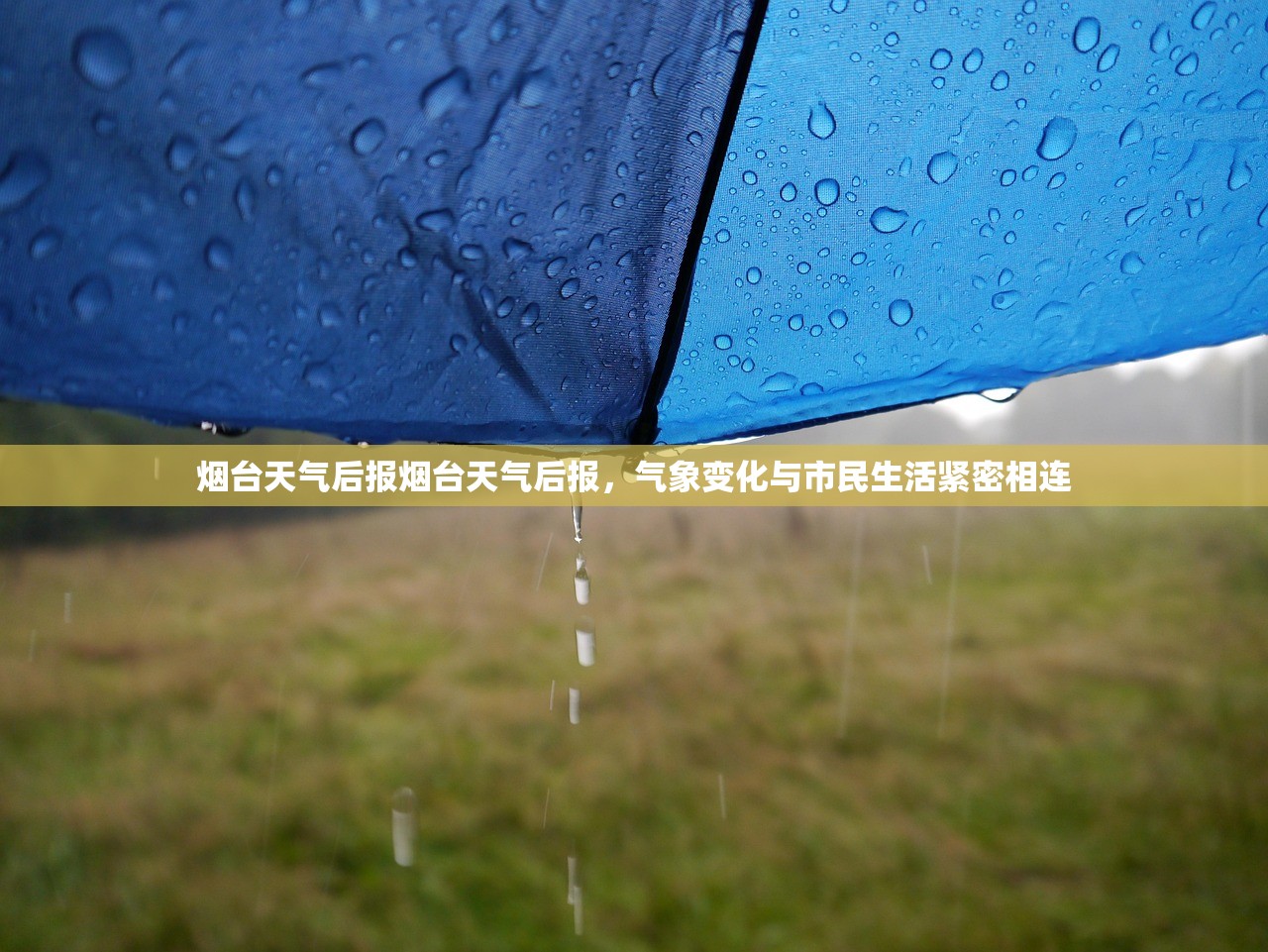 烟台天气后报烟台天气后报，气象变化与市民生活紧密相连