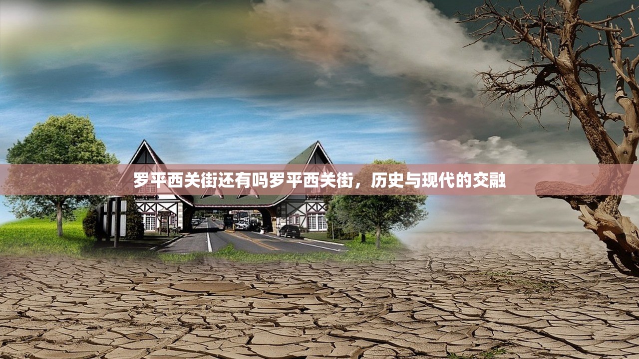 罗平西关街还有吗罗平西关街，历史与现代的交融