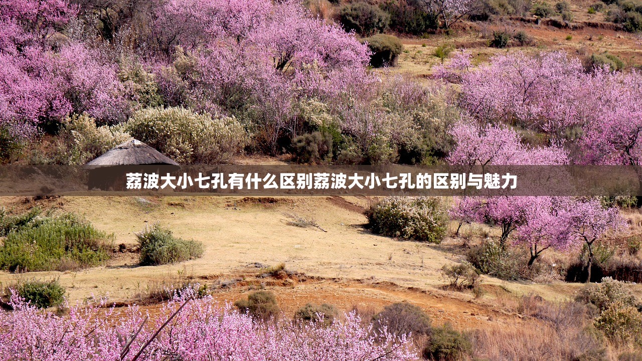 荔波大小七孔有什么区别荔波大小七孔的区别与魅力