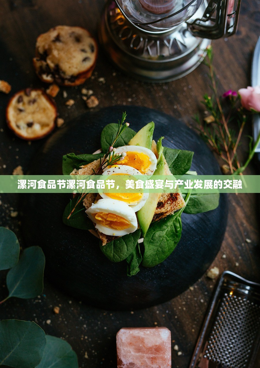 漯河食品节漯河食品节，美食盛宴与产业发展的交融