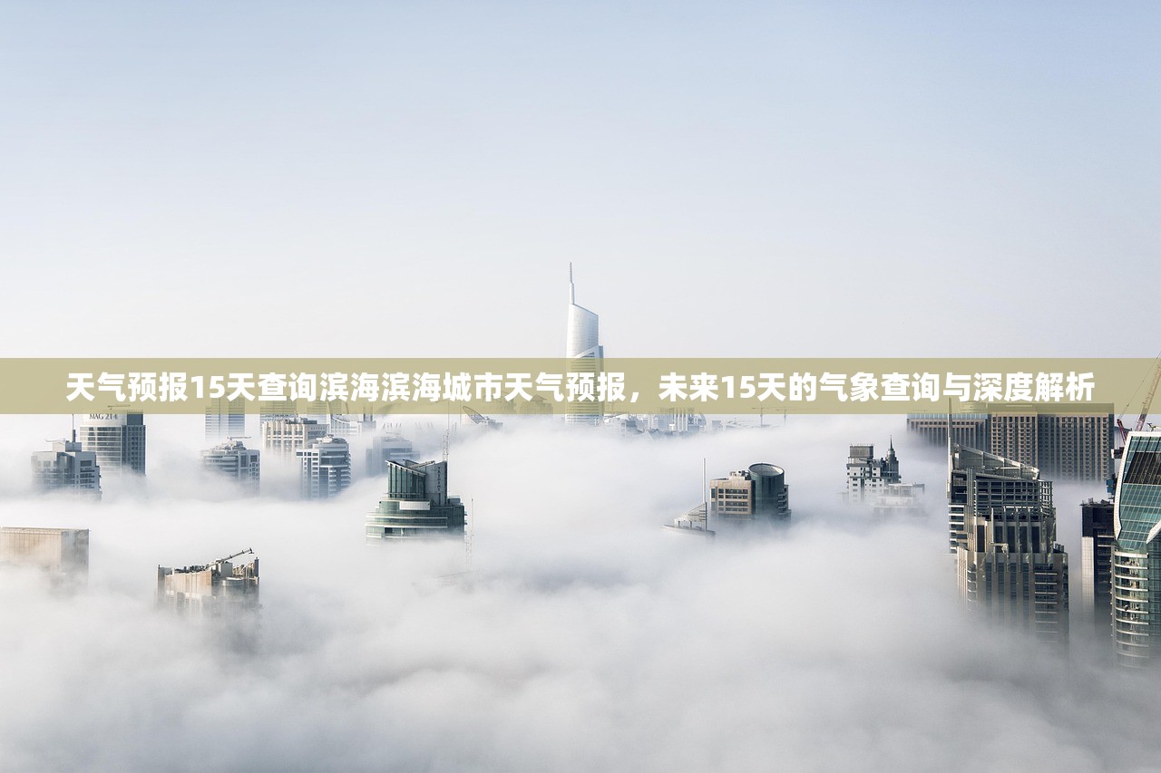 天气预报15天查询滨海滨海城市天气预报，未来15天的气象查询与深度解析