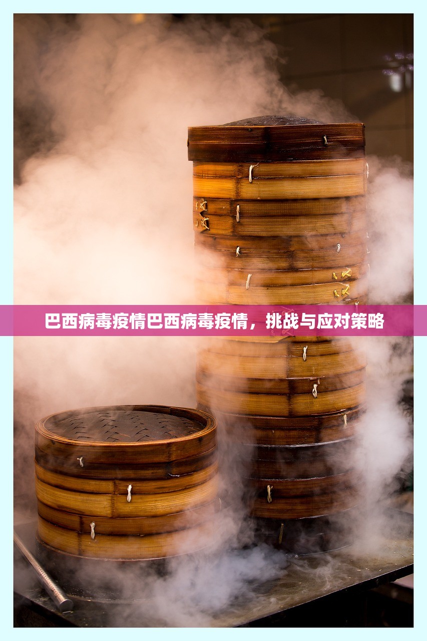 巴西病毒疫情巴西病毒疫情,挑战与应对策略 巴西病毒疫情巴西病毒疫情,挑战与应对策略