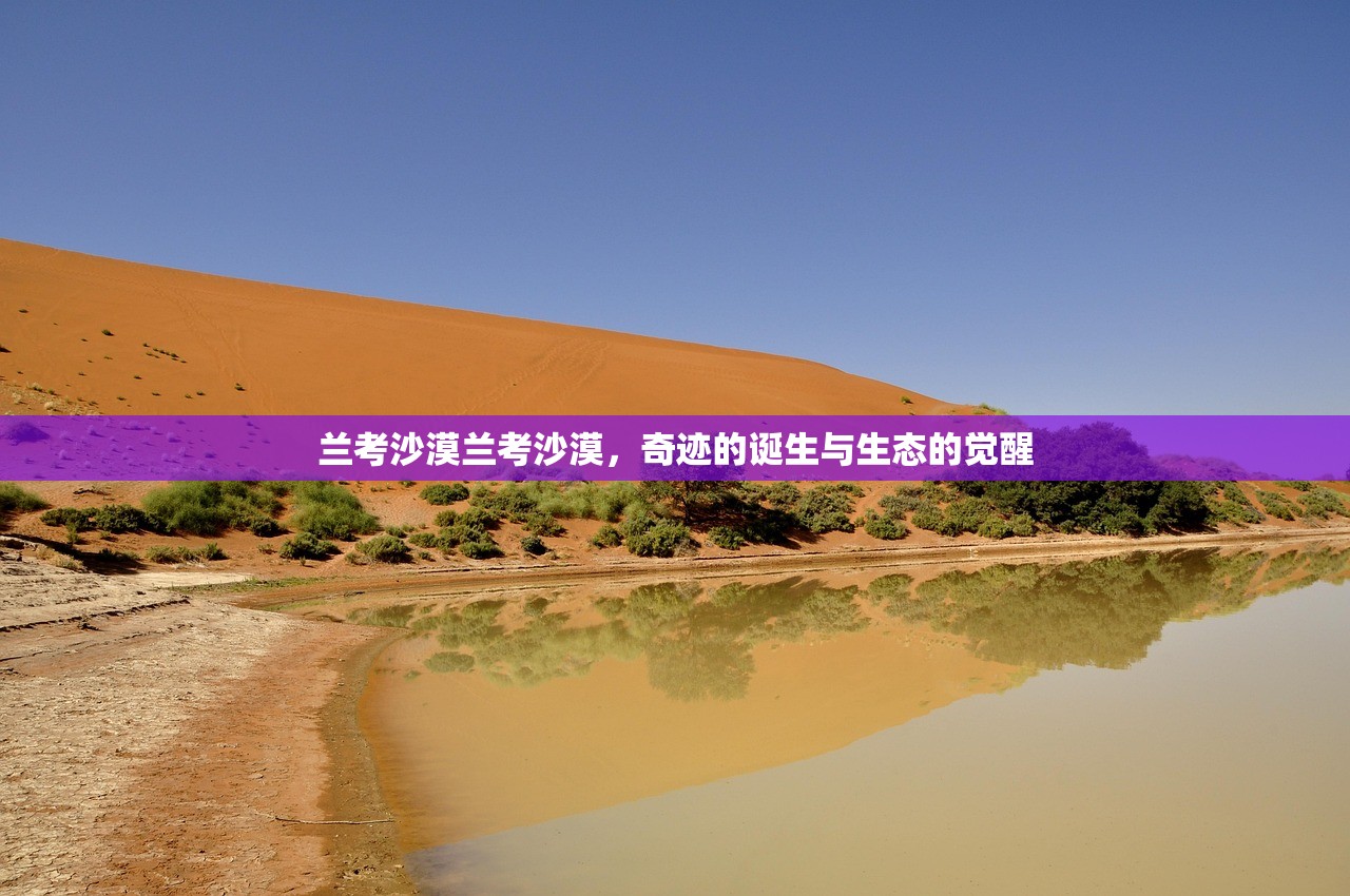 兰考沙漠兰考沙漠，奇迹的诞生与生态的觉醒