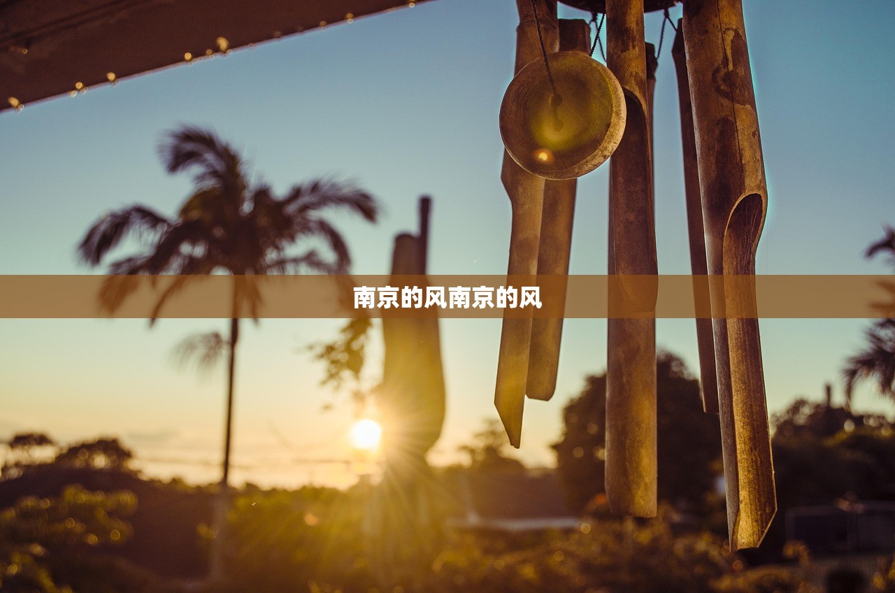 南京的风南京的风