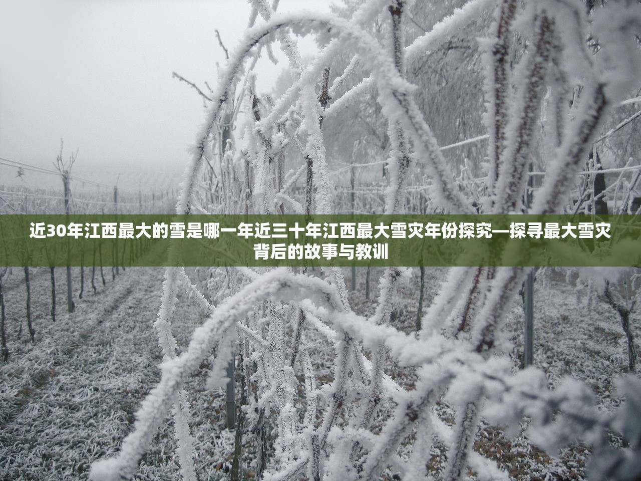 近30年江西最大的雪是哪一年近三十年江西最大雪灾年份探究—探寻最大雪灾背后的故事与教训