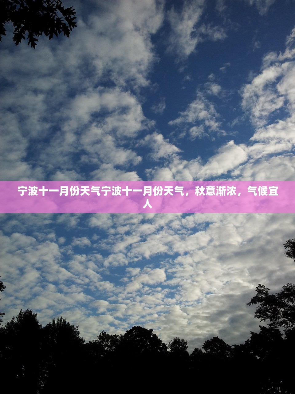 宁波十一月份天气宁波十一月份天气，秋意渐浓，气候宜人