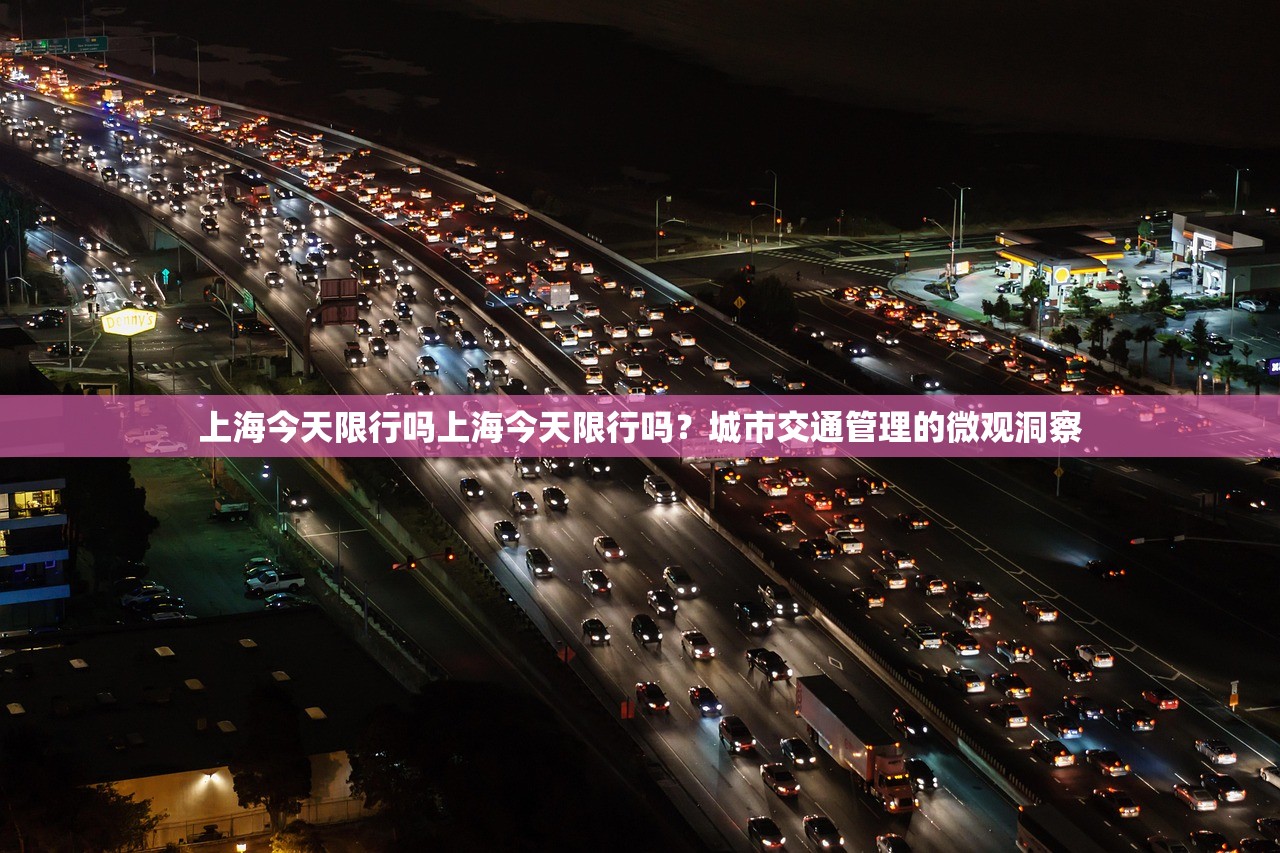 上海今天限行吗上海今天限行吗？城市交通管理的微观洞察