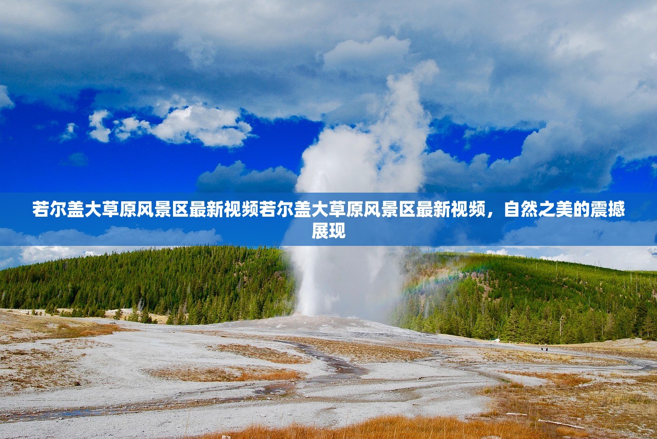 若尔盖大草原风景区最新视频若尔盖大草原风景区最新视频，自然之美的震撼展现
