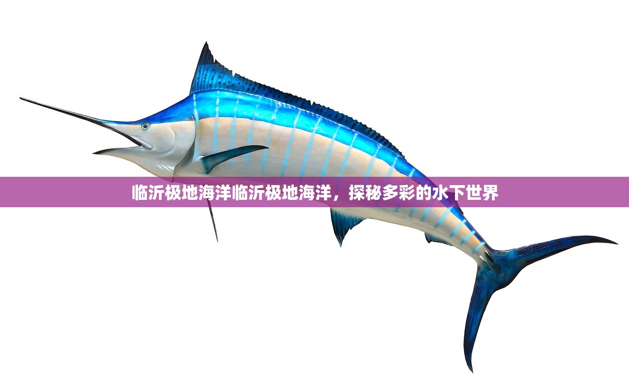 临沂极地海洋临沂极地海洋，探秘多彩的水下世界