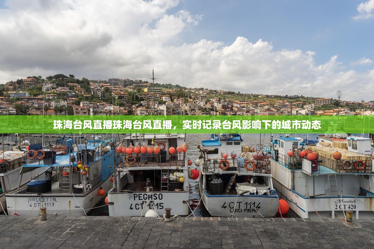 珠海台风直播珠海台风直播，实时记录台风影响下的城市动态