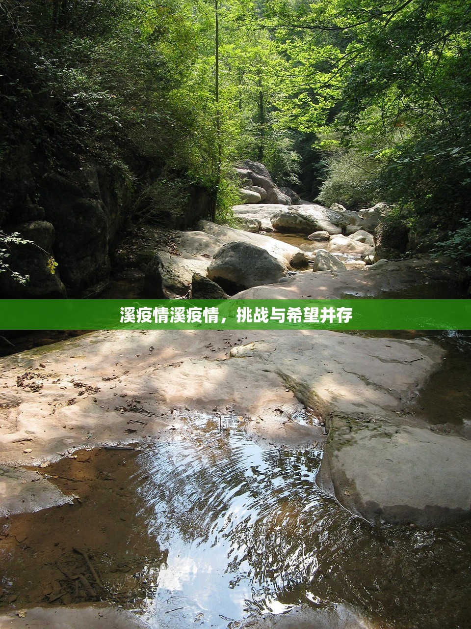 溪疫情溪疫情，挑战与希望并存