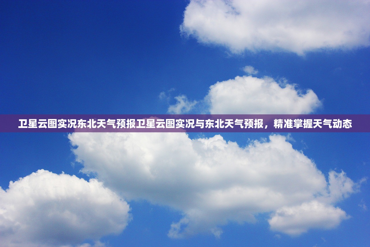 卫星云图实况东北天气预报卫星云图实况与东北天气预报，精准掌握天气动态