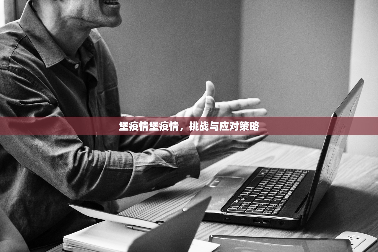 堡疫情堡疫情，挑战与应对策略