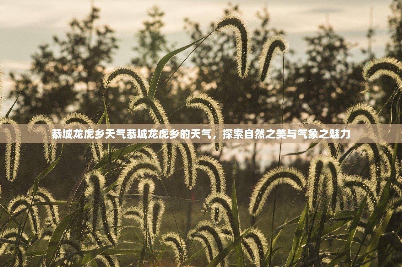 恭城龙虎乡天气恭城龙虎乡的天气，探索自然之美与气象之魅力