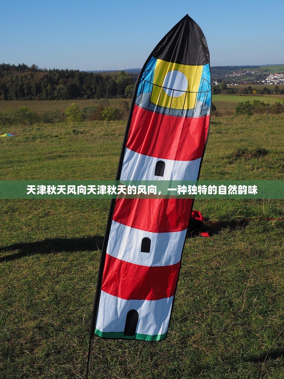 天津秋天风向天津秋天的风向，一种独特的自然韵味