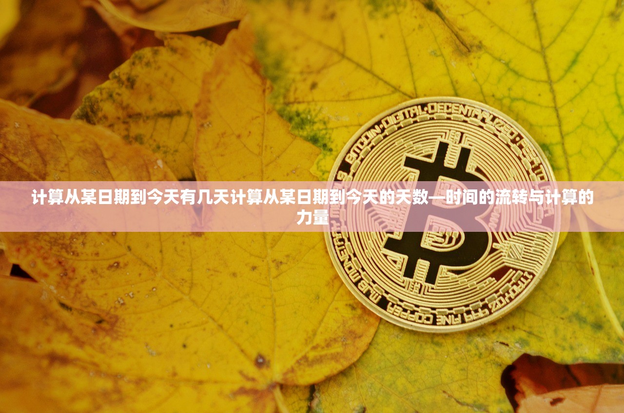 计算从某日期到今天有几天计算从某日期到今天的天数—时间的流转与计算的力量