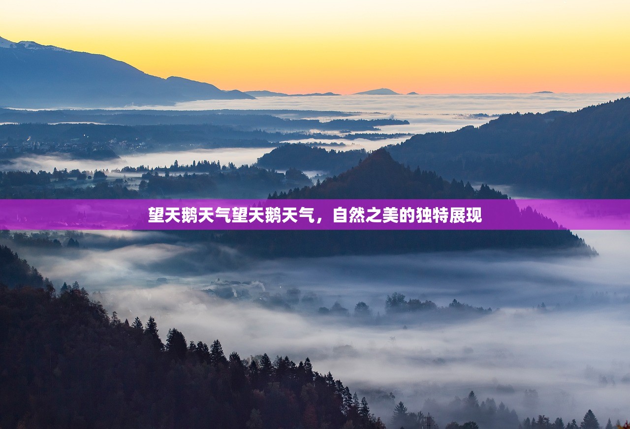 望天鹅天气望天鹅天气，自然之美的独特展现