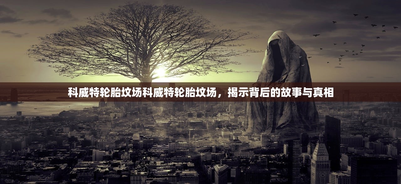 科威特轮胎坟场科威特轮胎坟场，揭示背后的故事与真相