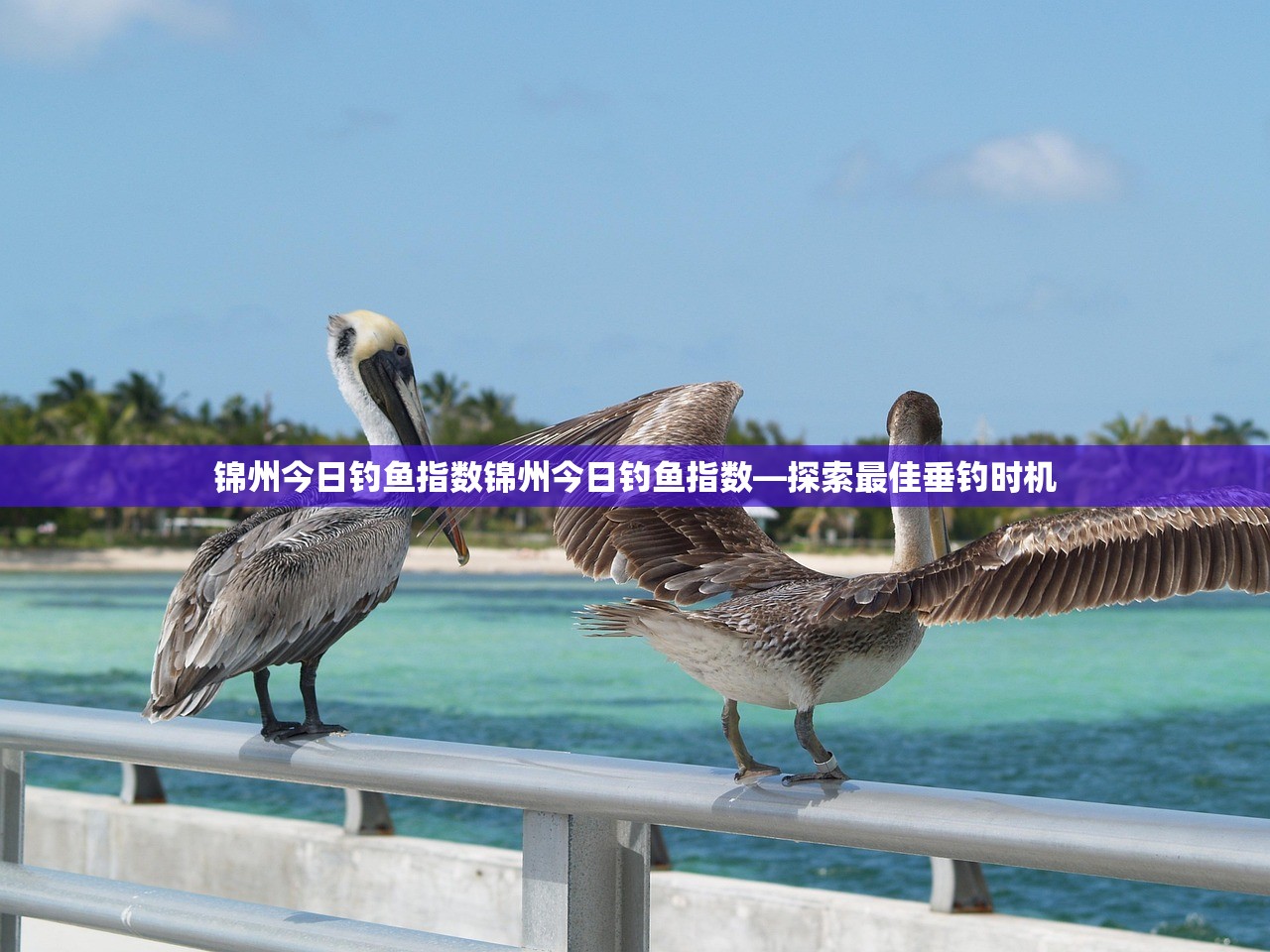 锦州今日钓鱼指数锦州今日钓鱼指数—探索最佳垂钓时机