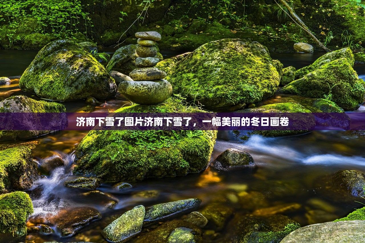 济南下雪了图片济南下雪了，一幅美丽的冬日画卷